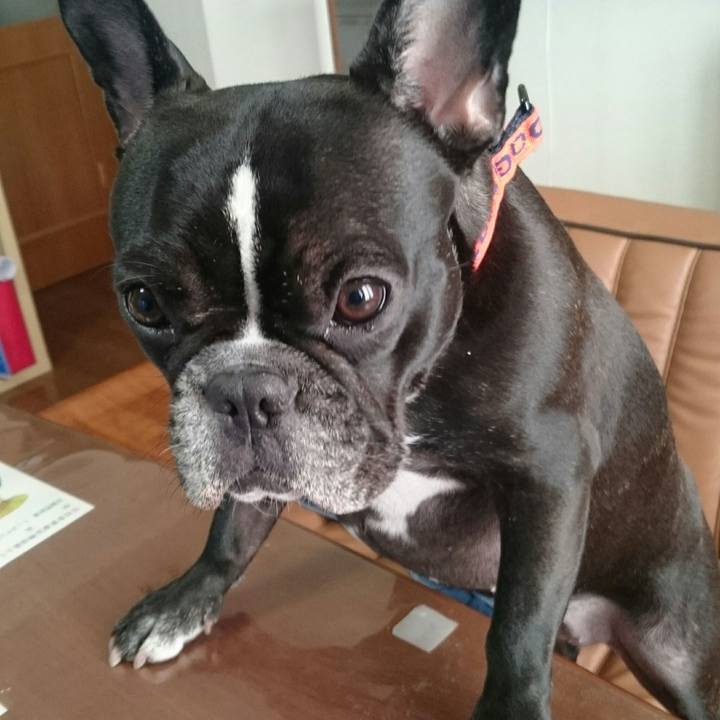 052a2da8 c660 4ac7 866b 9f5708be969b 1515239522794