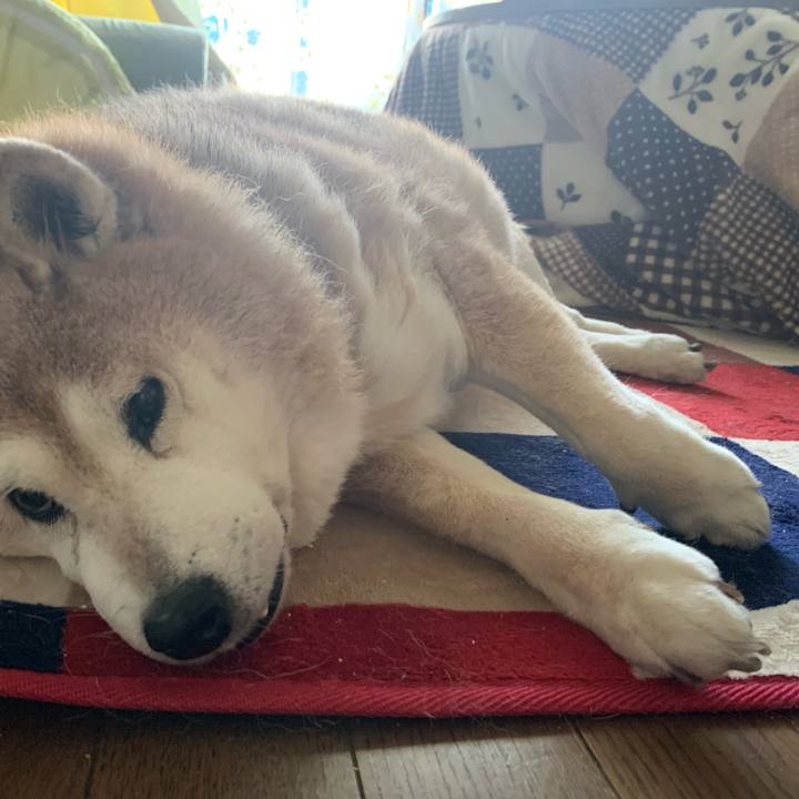 052a3611 70e7 4374 9fc5 a7157ee82be6 1642808274304