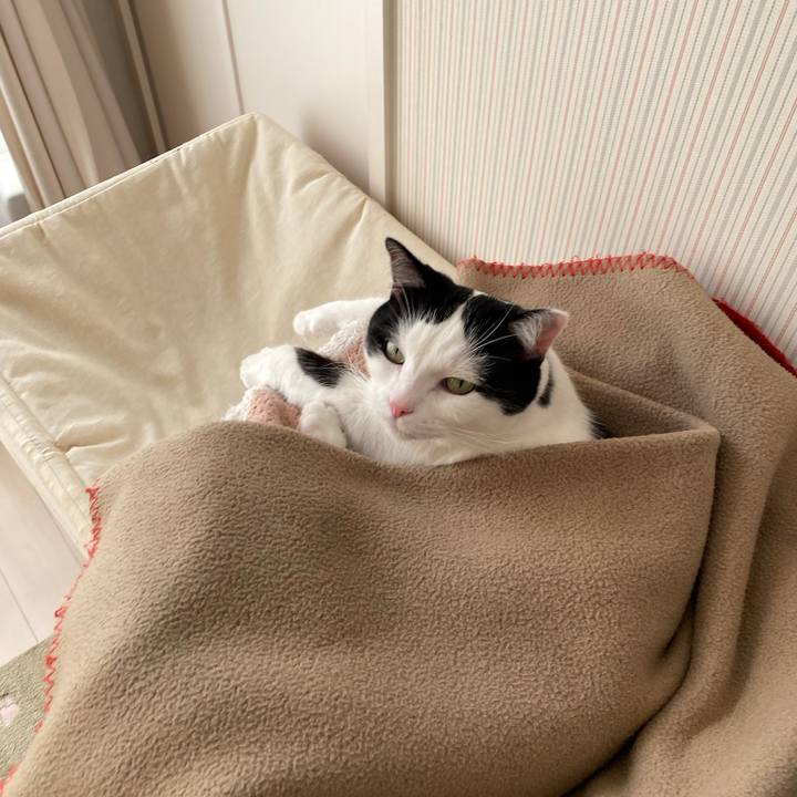 052a4316 3aab 42b4 bacb 9eca59aaebdc 1768950721324