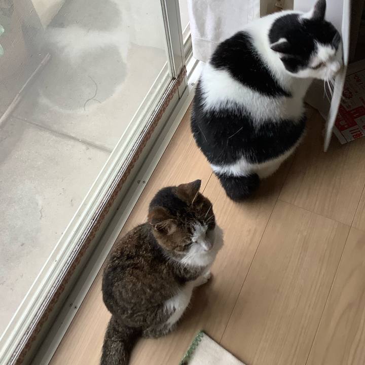 052a596c 76b8 4888 8453 673d0b4584a7 1594550953209