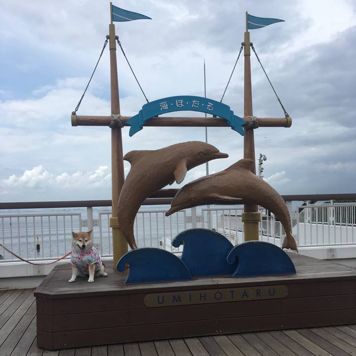 052aa26d 9418 4ee6 a462 21ace82ed403 1563421926511