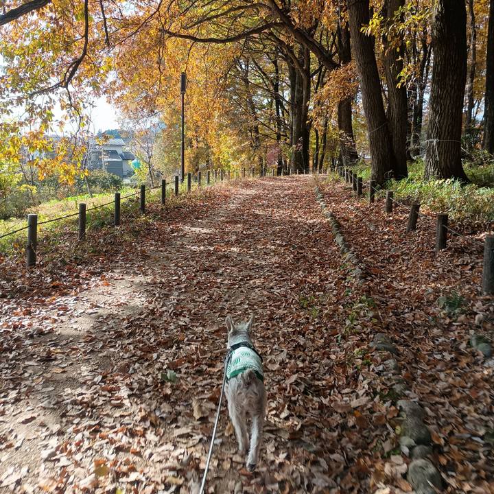 052aac17 32e8 4bda b205 9a0ac8079a0a 1764244659628