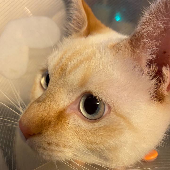 052ab85a 8011 438b 91d3 d47a5064c157 1583969154016