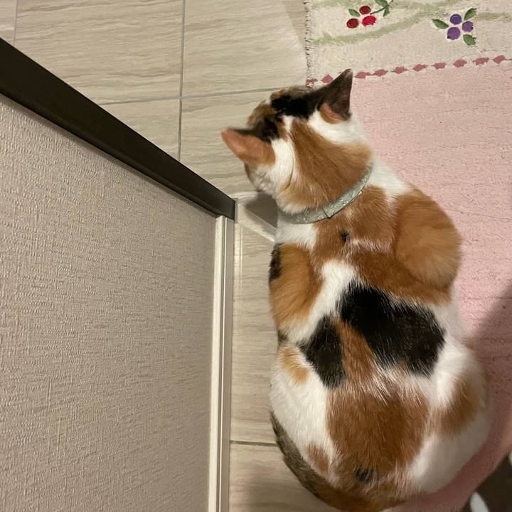 052abf7f 0d99 46a5 9502 67da13b49a3c 1686147200607