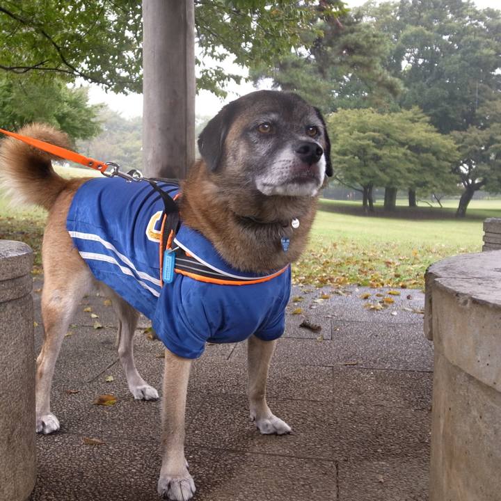 052ad4de a731 40c5 bfb5 12fca55e1970 1582936920098