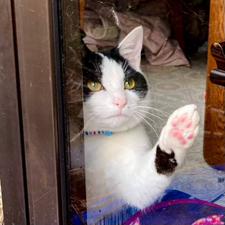 052b23c1 13d7 468d 9e8e 7686b0c65dd8 1645762614737