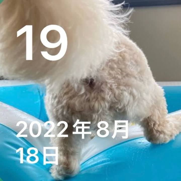 052b91ea dd05 4ff2 a89e 35dac8f41778 1755607378683