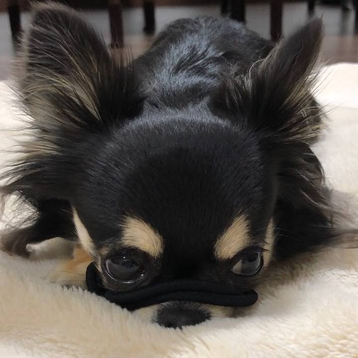 052b9460 5302 4ffb 9db9 63b3e1e1433c 1584400820685