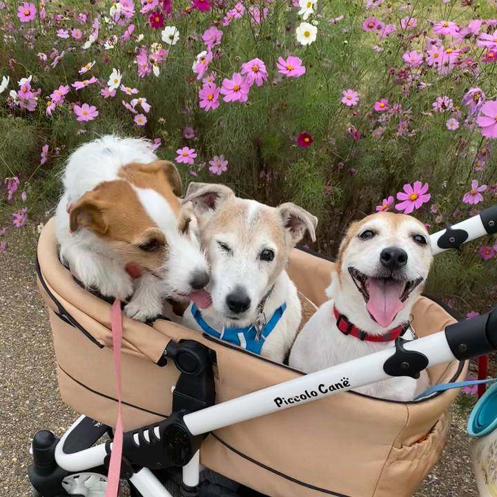 052c5c42 1176 4aaf a288 8577db8c6a10 1699090471420