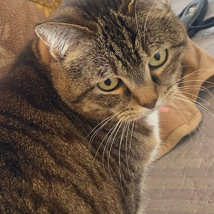 052c8fa9 1b41 429d 917a bb7c263526ae 1681002983829