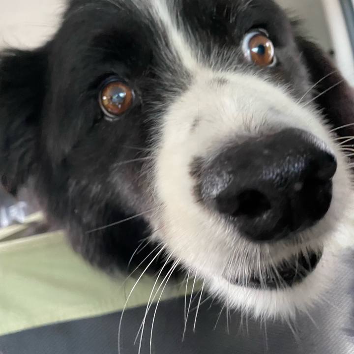 052cc175 c176 4a82 b3dd d3320a4c38f3 1657058897104