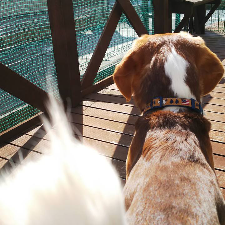 052d0905 50ba 4060 a4df 321aa94e8692 1584595244993