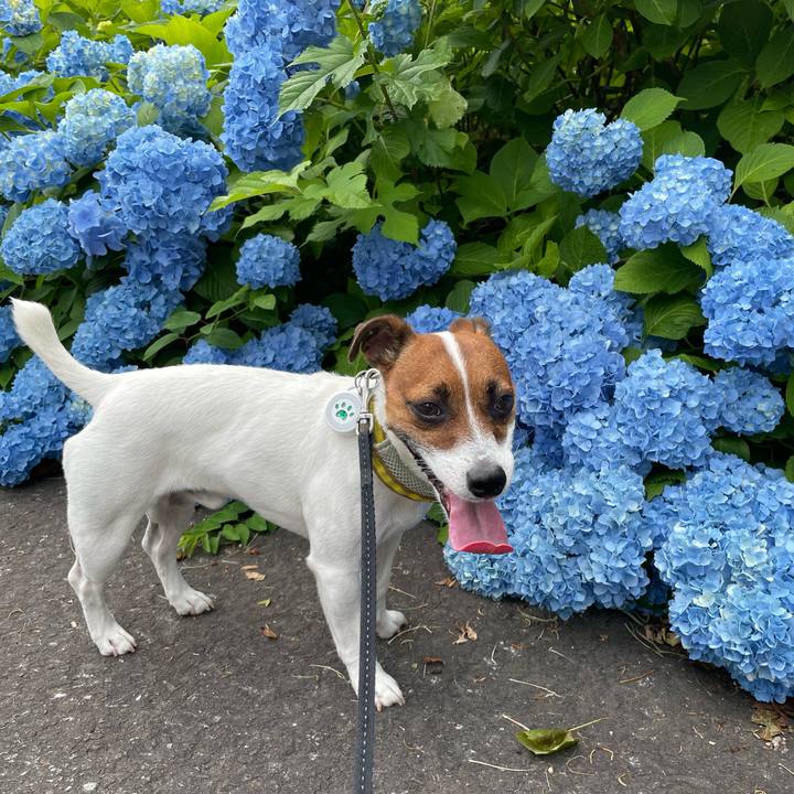 052d1e26 2141 4a23 9e7d 81c5ce9e0721 1657440388305