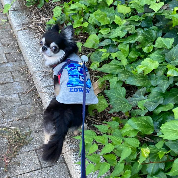 052d2f8c 21c1 4cd6 9c40 5cd37a20280c 1697987333181