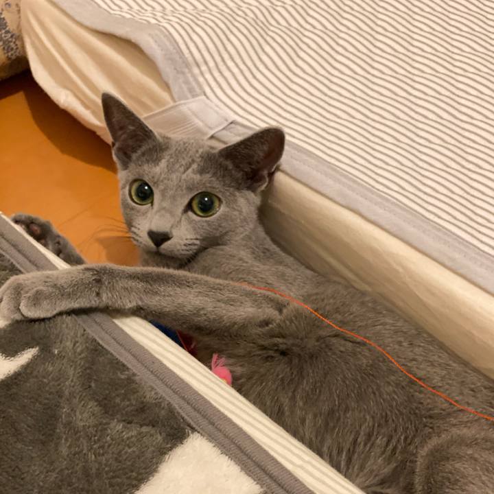 052d6475 2a11 485d a37e 451f290a4141 1605277570386