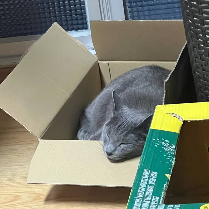 052d8c34 0b6d 4663 9f68 a1a937435a2b 1719917073599