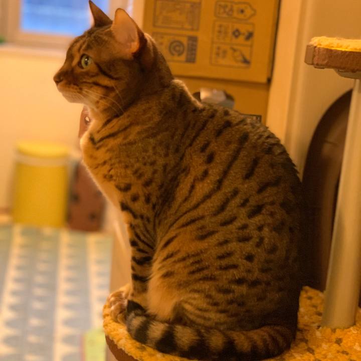 052dd220 74ac 4351 b81c 21009473456c 1583185353671