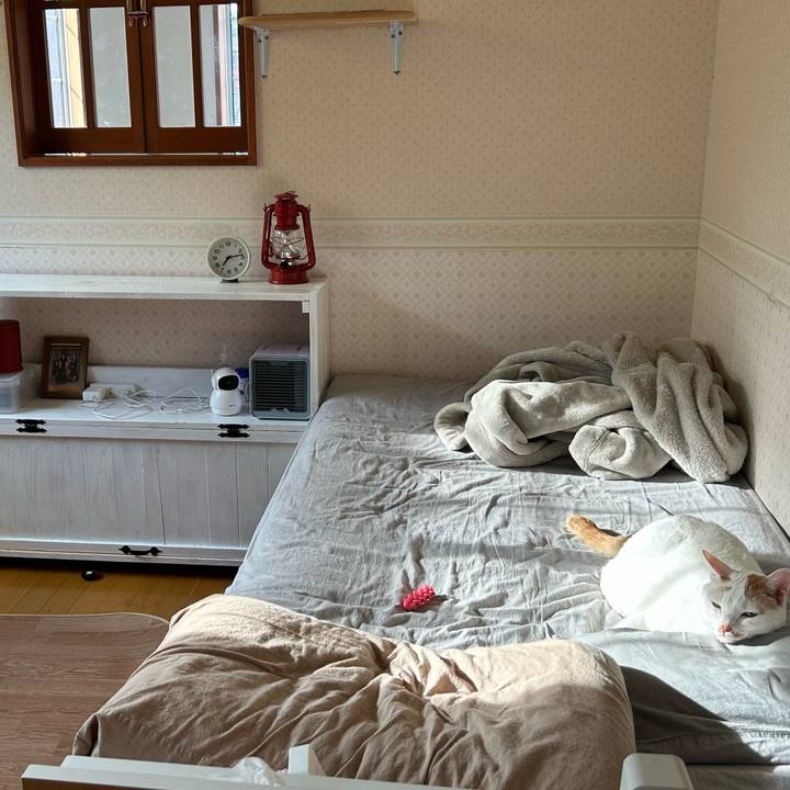 052df3c4 4be2 401e b14f 22f7def0d23e 1686522247325