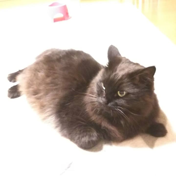 052e5a07 cfff 48f1 8d39 69e09e11a242 1556020773322