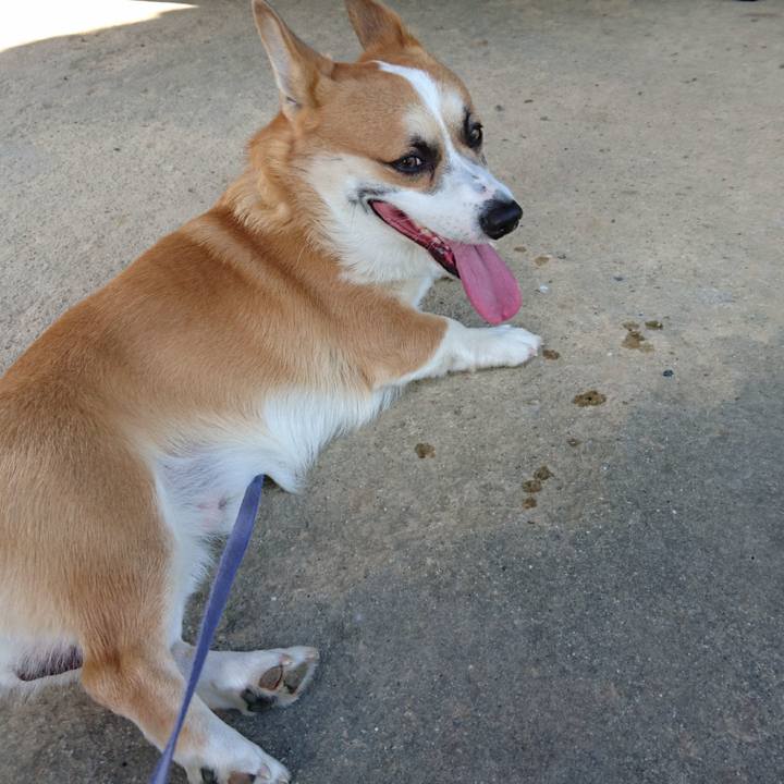 052e6725 a9d6 4902 833a f5c415fb464e 1598063304987