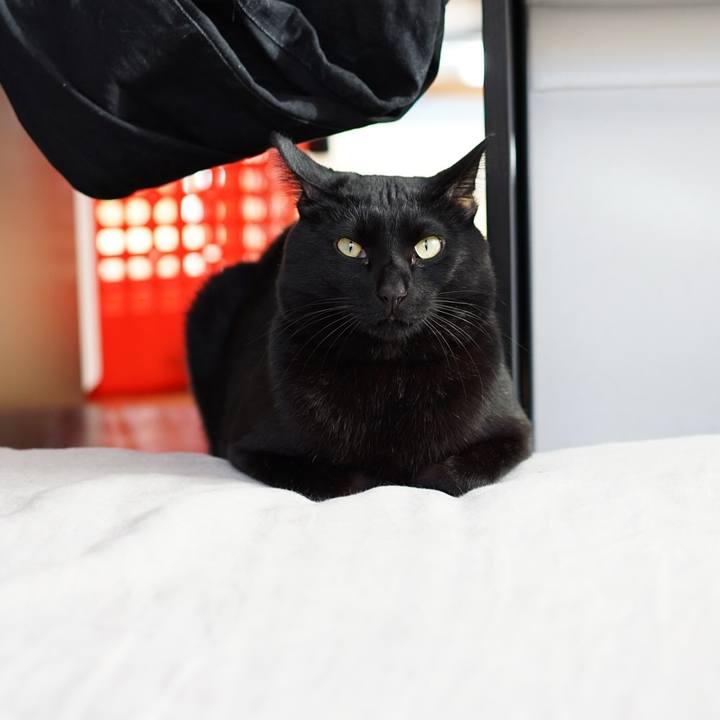 052ec0a7 ca71 4c9e 9f6d b7895bb8ae5f 1549270322139