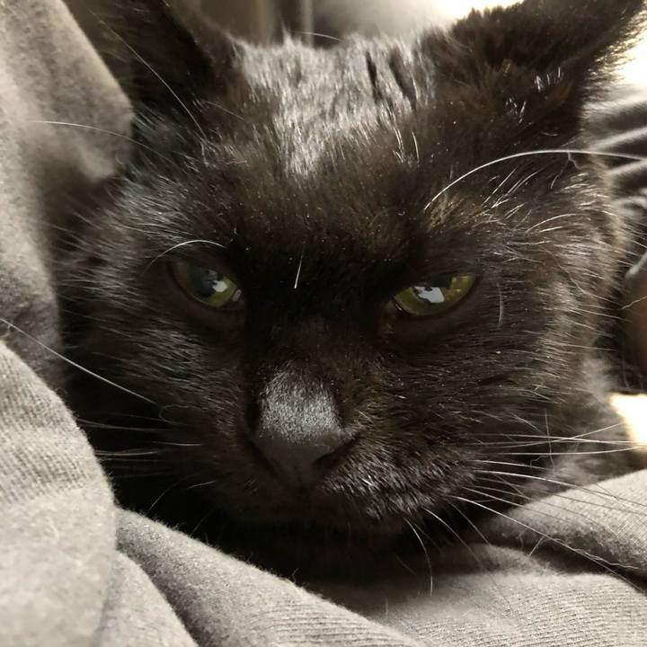 052f157f 93fe 4ea3 852b b807c6f05492 1636798422593