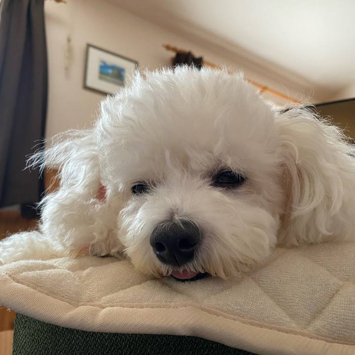 052f231b 92cf 4404 a158 7f26f1c0933c 1691976570733