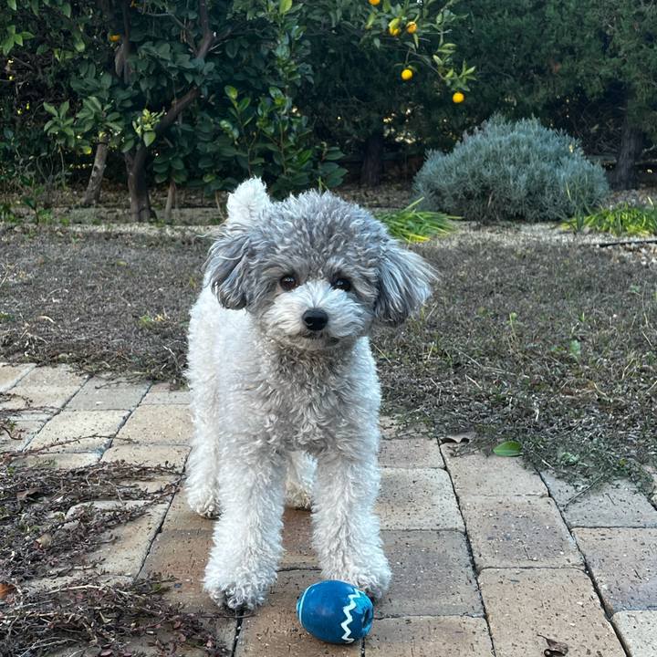 052f325a 8fcd 4b01 87e8 0d9eb172a0a8 1767400434421