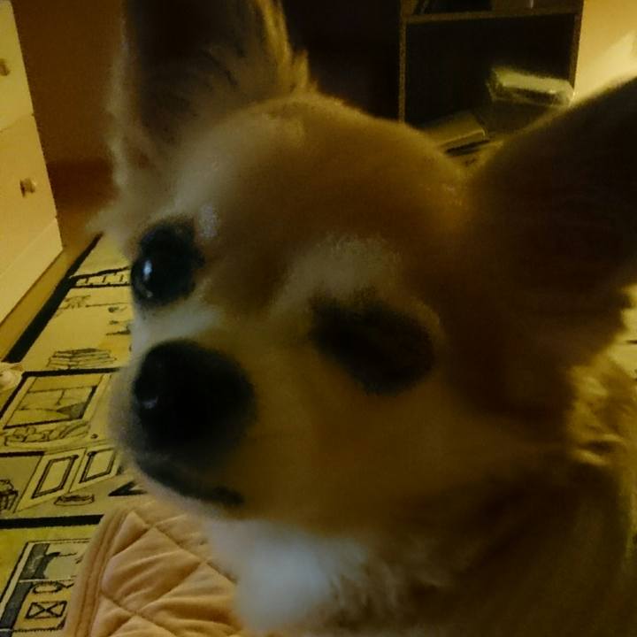 052f576d cbe7 4017 9f42 47e915253799 1507552714499