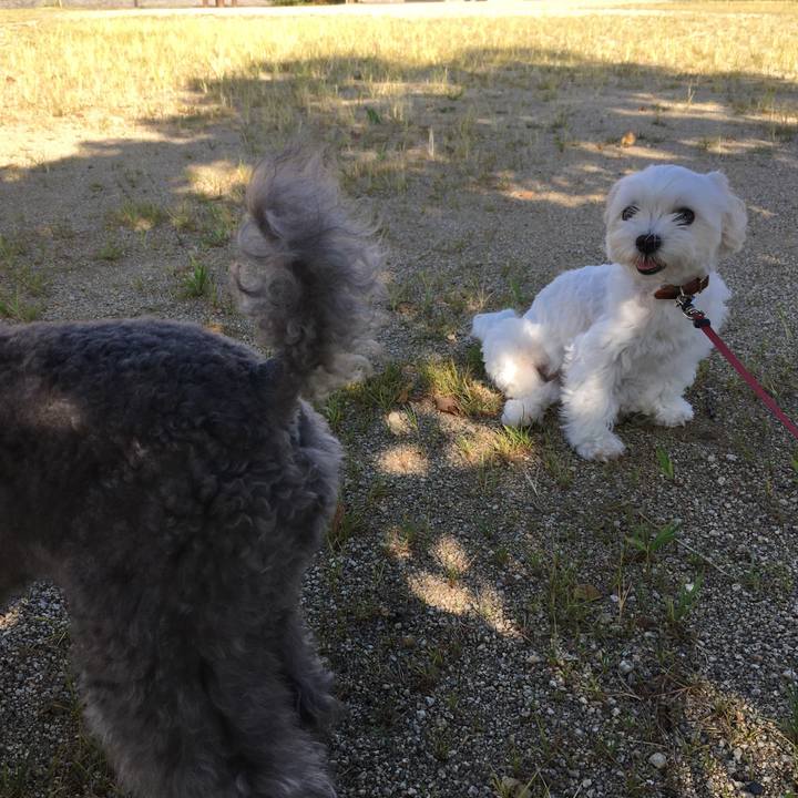 052f7396 5471 4cd8 94b9 436bd6e837d2 1600299197666