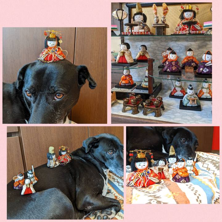 052fa026 5c09 4584 860c d73e803c99bf 1709287700377