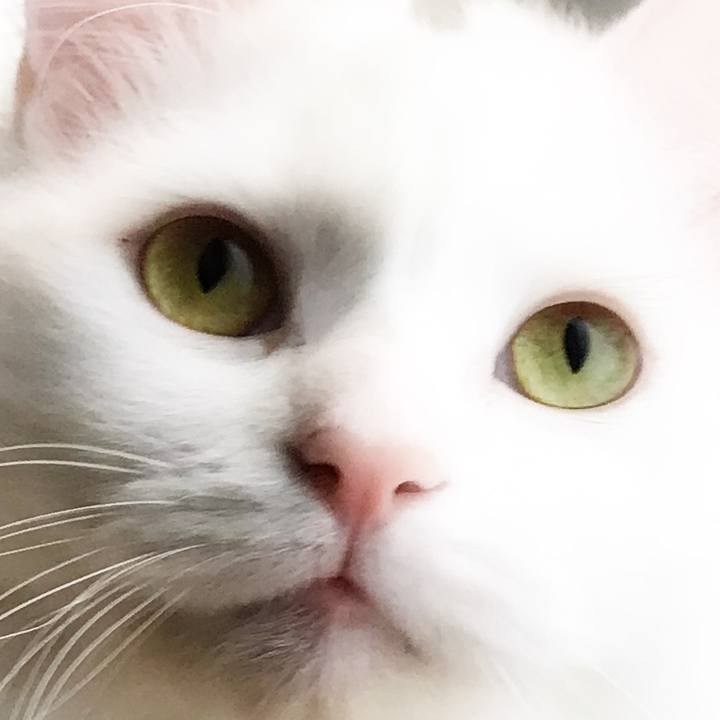 052fbc66 ef34 4592 8114 58f34c29d1c0 1551530006718