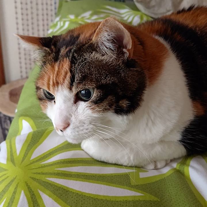 052fbc86 b6c5 494b 83b7 42b5cdf06cf0 1644618676535