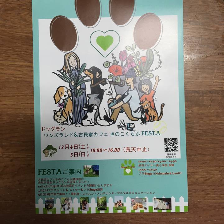 052fdf5e 09dc 4a29 b300 a74e2bf3c532 1638738389253