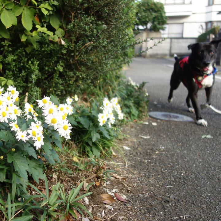 05300ded 2761 49ac b50f 0f150d3c3b6c 1668213182432