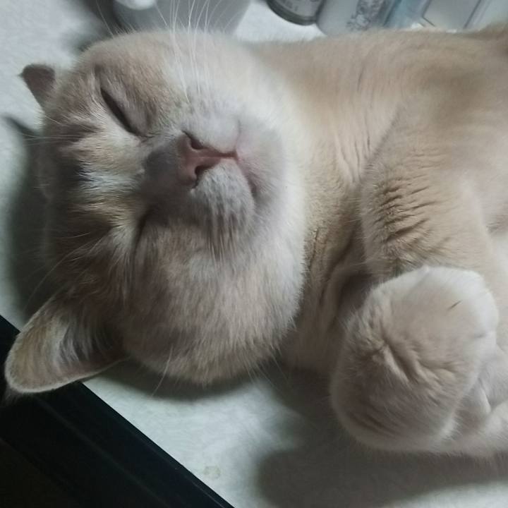 0530155d b1fa 49e7 8b83 774329c9310d 1528162767549