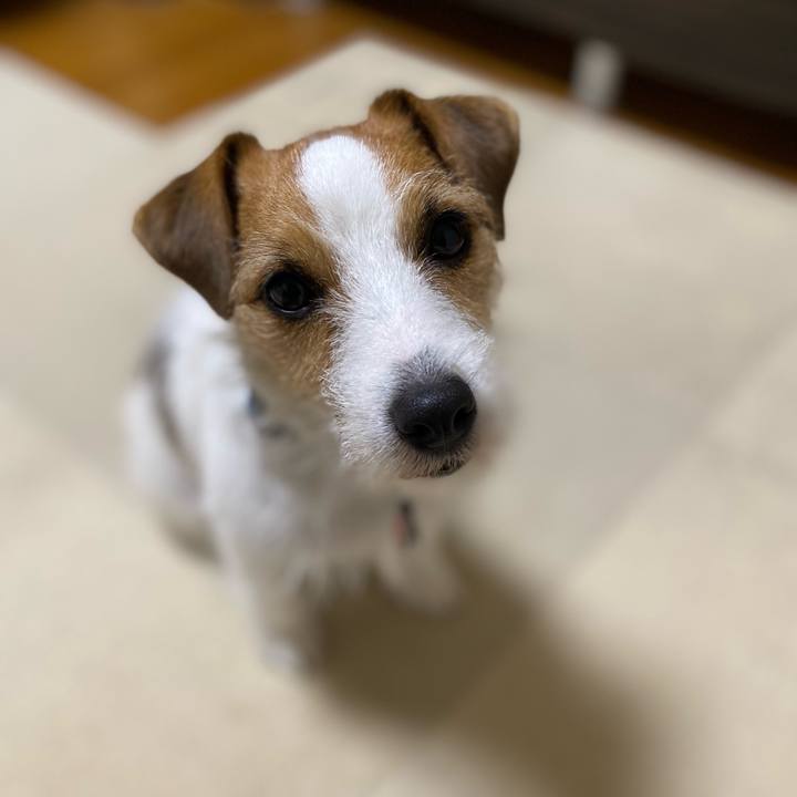 05303a8f 1994 4ab2 bf43 d2a895f5e2ef 1704832738584