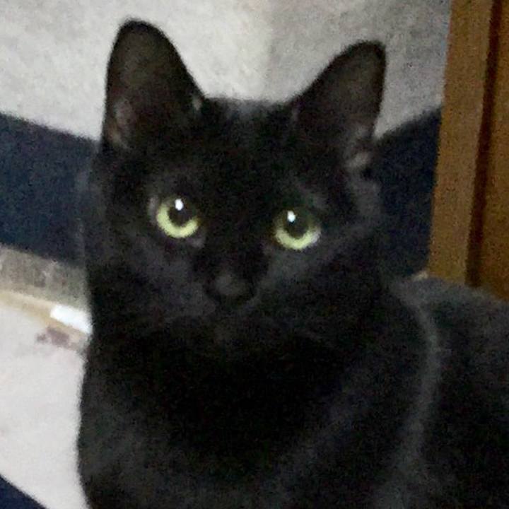 053040e6 4562 4740 8e81 816b60c21135 1611231105901