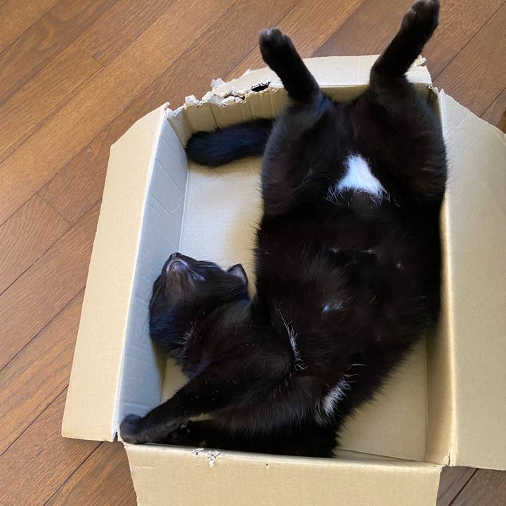 053042d8 c669 4be1 9b77 64b42f740f5e 1662040148008