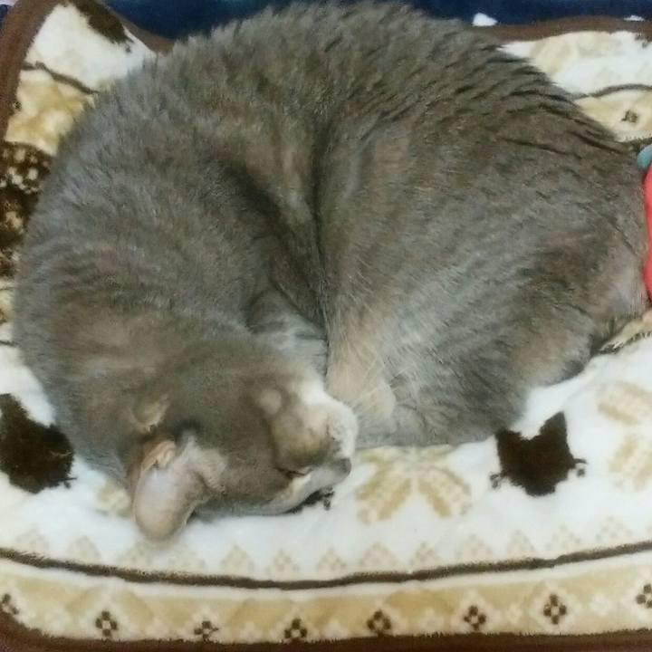 0530607e 207a 4f66 bbd9 f166ce011ef9 1581893529604