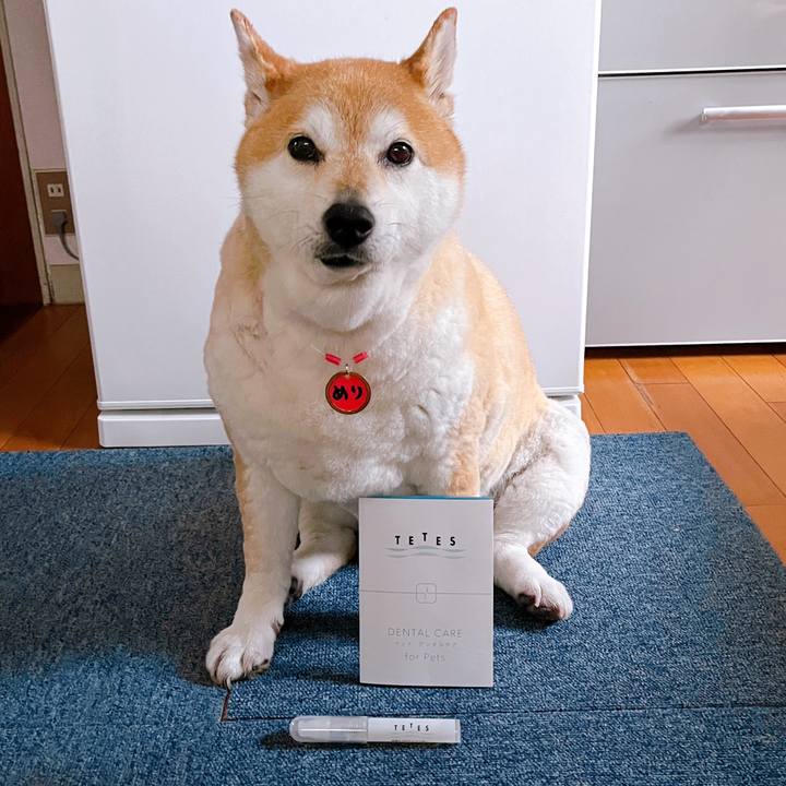 05306da4 d170 4b1d a1ab a5cc70d85d3c 1714554247524