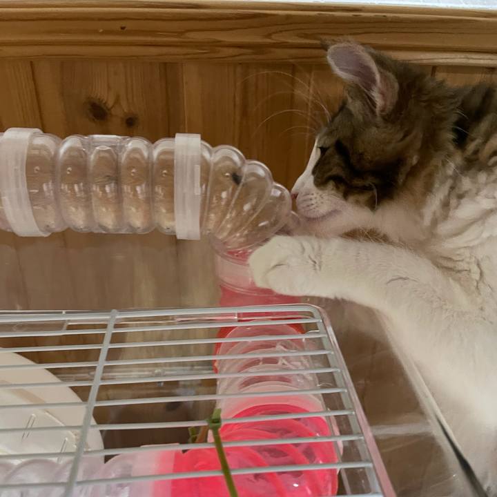 053092a8 e701 4ca7 bbd7 5a6f33f962df 1633382386660