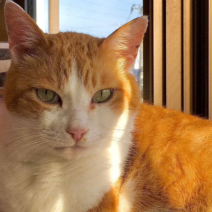 05309811 3061 4b69 b2a8 bbc25e330f5e 1590995354750