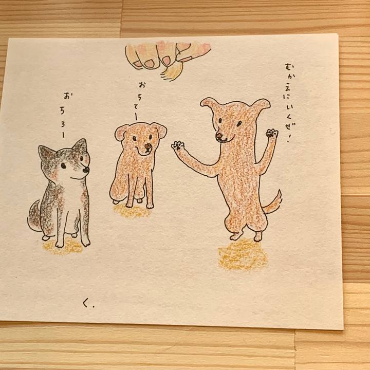 0530d0d6 a18d 4a1e a38f 12a6a8c64334 1572153287610