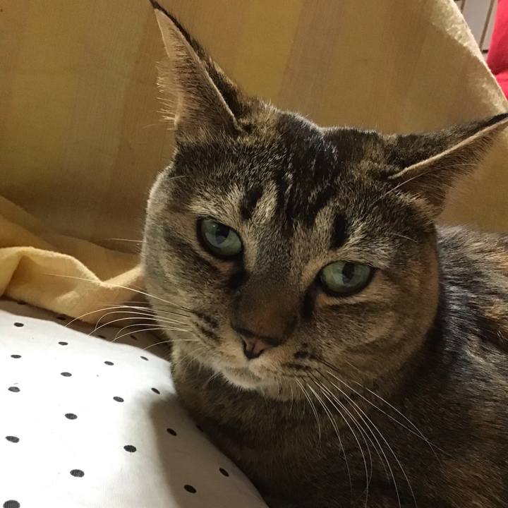 0530d9c5 e46c 49a3 b880 7ed0f248ad69 1671800553149