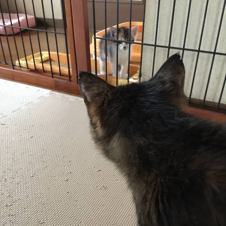 0530fa8b dbf1 4b42 a7cb 00af40262b60 1668603419031