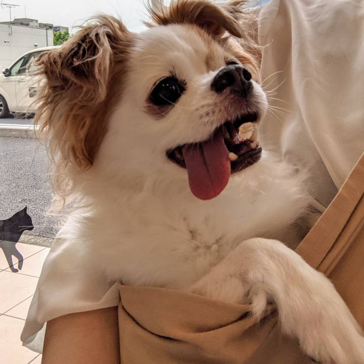 0531020f 6acd 4c89 b7bc 89dfdb885fba 1620462443678