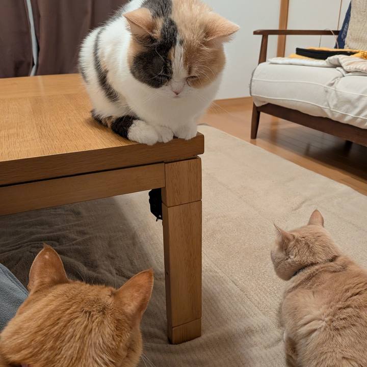 053173b9 7d40 4634 b32a 082685051c8c 1775087306060