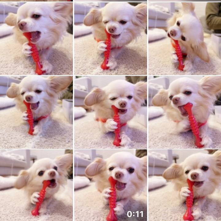 05317d0b 66db 4c76 82aa ca74abc6afc4 1743255532057