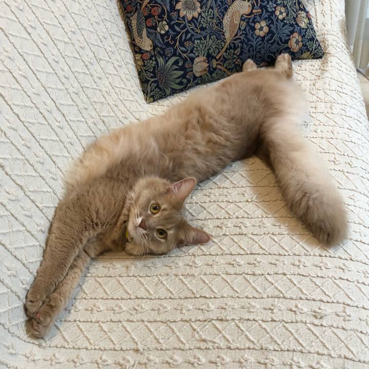 0531d4ea 23f4 4977 99a8 d9f8a04bcb2a 1567643772025